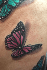 #butterfly #butterflytattoo #colorbutterfly #color #colortattoo 