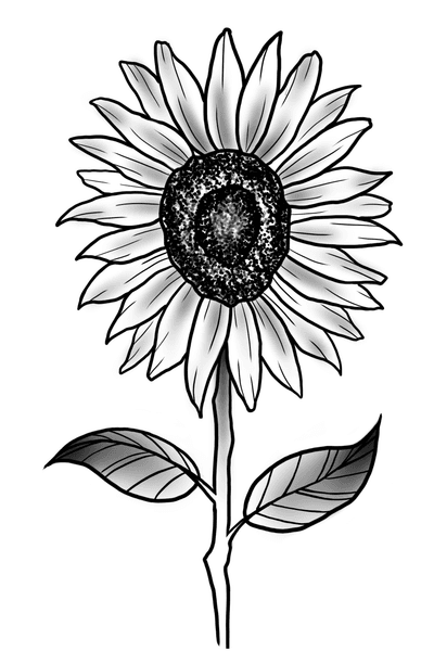 Peony Daisy Flower Tattoo Floral Rose Black Sketch Sunflower