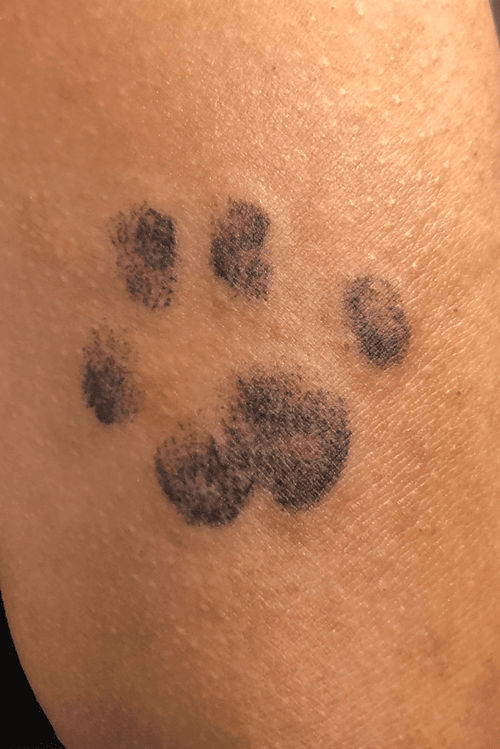 Tattoo uploaded by Jackie Marie • Simple dot work cat paw #paw #pawtattoo #dotwork #dotworktattoo #cattattoo #simple • Tattoodo