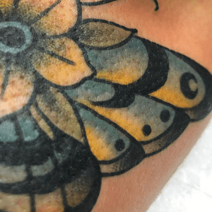 Close up of this trad butterfly by @squiretattooer