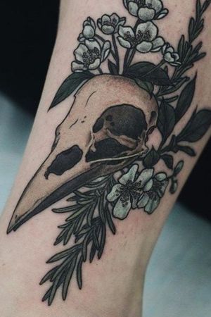 #skull#crow#bird#flowers#nature#birds#aesthetic#aesthetics#tumblr