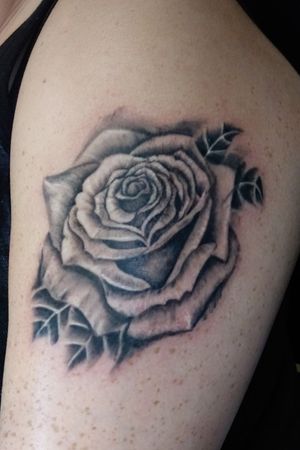 Rose / black and grey