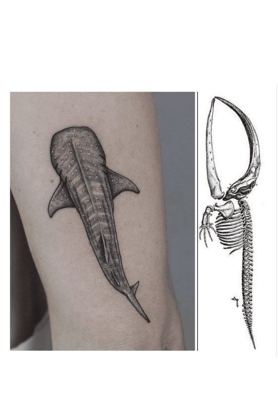 101 Best Whale Tattoo Designs You Need To See  Outsons