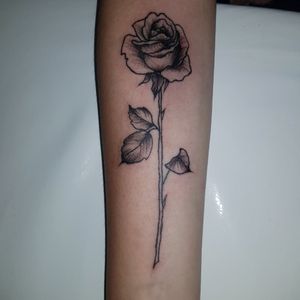 Sketch - Rosa antebraço #rose #rosetattoo #flowertattoo #flower #flowers #armband #arm #armtattoo #feminine #feminist #delicate #delicada #flores #rosa #femininetattoo 