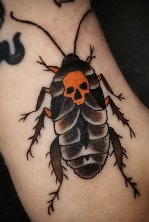 Little traditional cockroach on ankle 