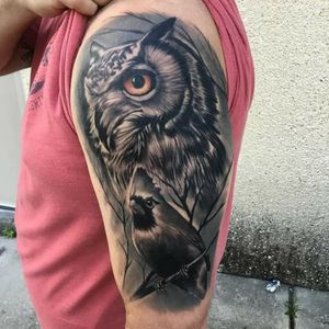 Owl and cardinal.  Fun times . I love tattooing.  #tattoo #tattooart #artist #ralphroyals #flagshiptattoogallery #jacksonvillefl 