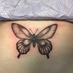 Sternum butterfly 🦋