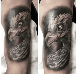 Experience the detailed beauty of a black and gray illustrative eagle tattoo by artist Alejandro Gonzalez.