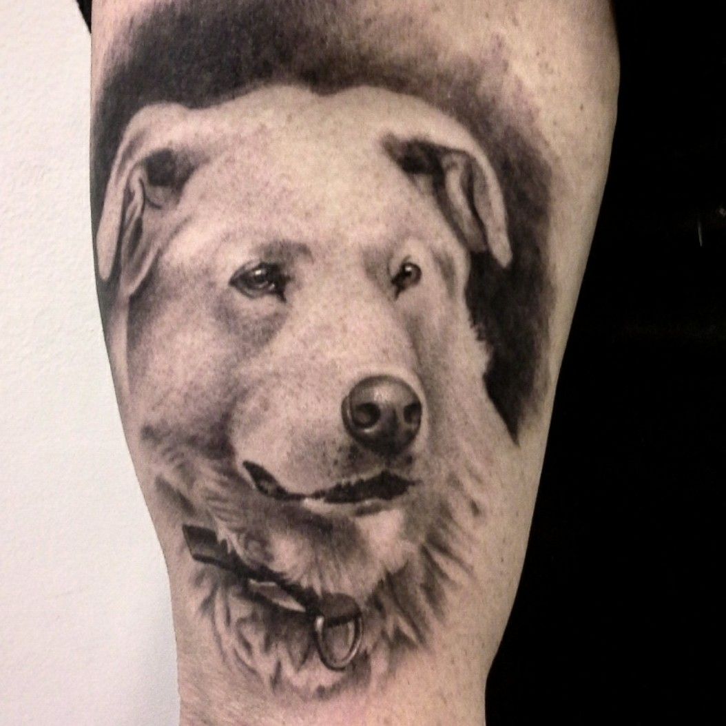 realistic dog tattoos done by Brian Martinez at Masterpiece Tattoo