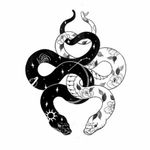 Black and white, contrasting snakes.