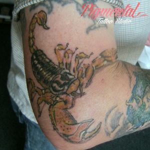 Scorpion Elbow Tattoo#Scorpion #ScorpionTattoo #ElbowTattoo #AnimalTattoo #WildlifeTattoo 