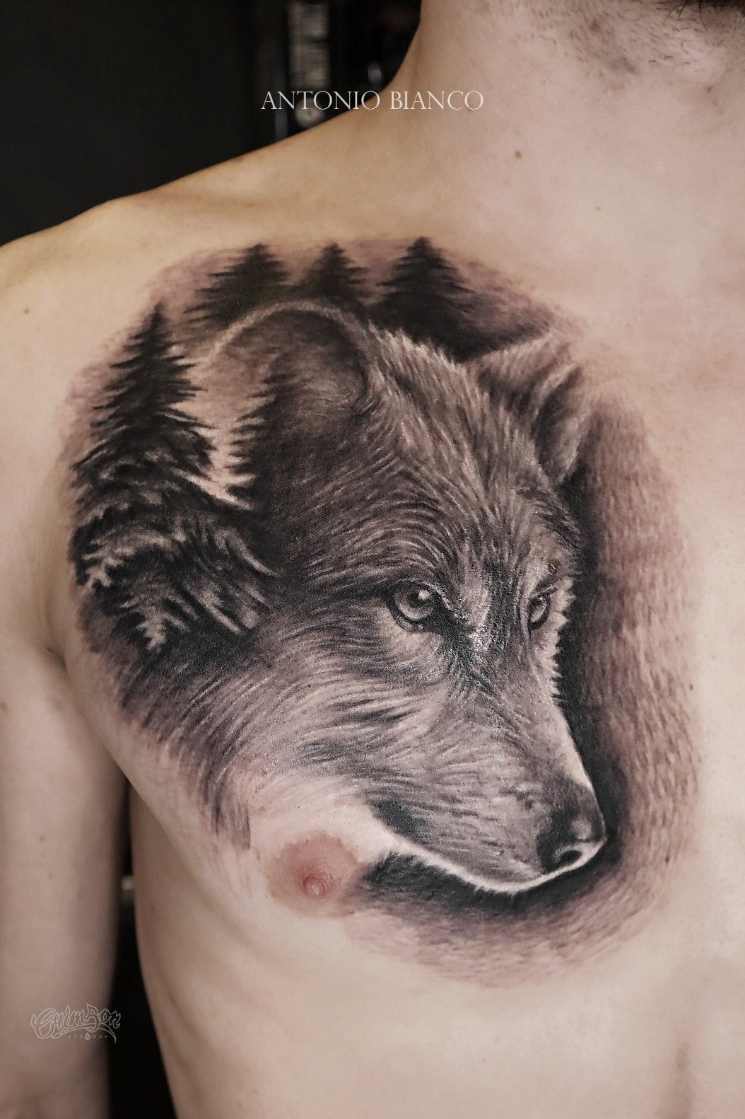 Tattoo Mihail Golosheykin  tattoo photo 1251664