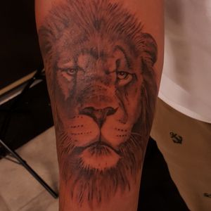 This realistic lion took 3 hours 