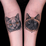 ✦ catlove 🖤 thank you ✦ #cat #catlover #color #tat #tattoo #ink #neotrad #neotradsub #girlswithtattoos #balmtattoo #inked #sketch #drawing #illustration #neotraditional #ladytattooers #ntgallery #germantattooers #neotradeu #tattoos #riagoldtattoo @ladytattooers @balmtattoogermany @germantattooers @d_world_of_ink @tattoodo @neotraditionaltattooers @tattoosnob @neotradtattooeurope @neotraditional_world @nxt.lvl.tattoo @neotraditionaleurope @skinart_mag @feelfarbig @finest_tattoo_collection @tradtattoos @neotraditionalgermany @newtraditionalgallery