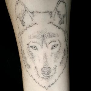 #handpoked Wolf tattoo done on forearm by me