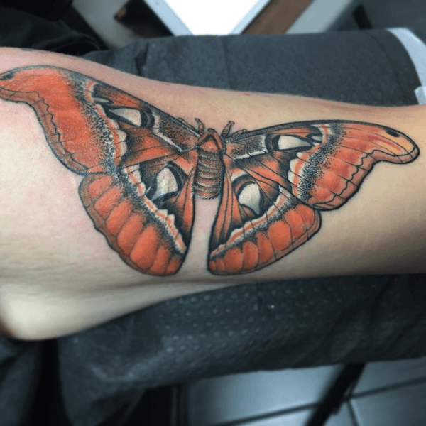 Tattoo from Metamorphosis Tattoo and Piercing Studio