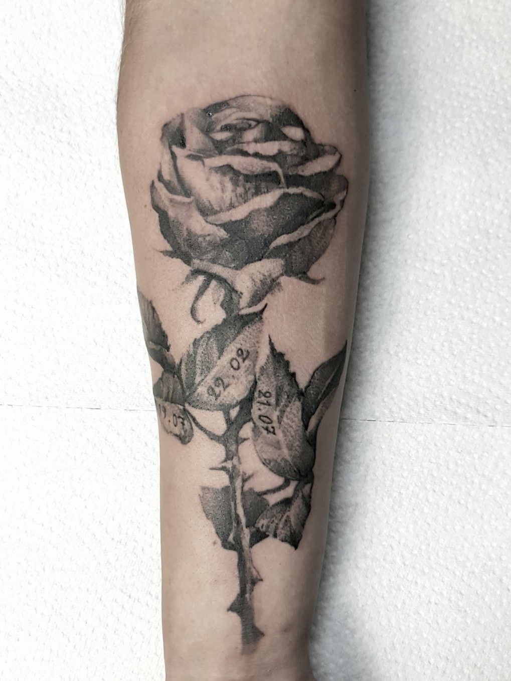 a rose that grew from concrete tattoo meaningTikTok Search