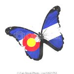 Colorado glad butterfly