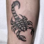 • 𝐓𝐑𝐀𝐃𝐈𝐓𝐈𝐎𝐍𝐀𝐋 𝐒𝐂𝐎𝐑𝐏𝐈𝐎𝐍 • DONE WITH: @fkirons  #tattoo #traditionaltattooartist #traditionaltattoo #flashtattoo  #tattoolife #inked #inkedmagazine #traditionalscorpion #scorpiontattoo
