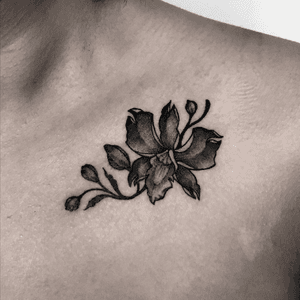 Custom Orchid.Thanks to the client for the trust on such a personal piece!Would really love to do more dark floral pieces like these..DM to book an appointmentDone at @soulinkstudio ..#darkartists #darkart #neotraditionaltattoo #orchidtattoo #orchid #floraltattoo #islandlife #srilanka #customtattoo #darkneotrad #macabreart #ksvink #soulinkstudio