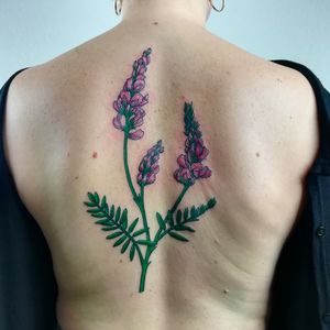 flower tattoo
#flowertattoo
#flower
#planttattoo
#botanical
#botanicaltattoo
#botanicalillustration
#backtattoo
#hamburg