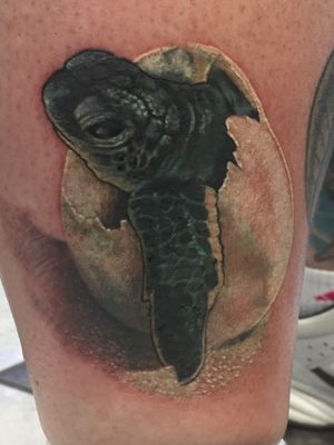 Love tattooing baby sea turtles 
