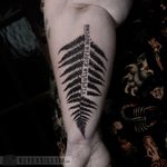 Black tattoo fern leaf Edinburgh Custom Tattoos by Geezy www.gzyexsilesia.com