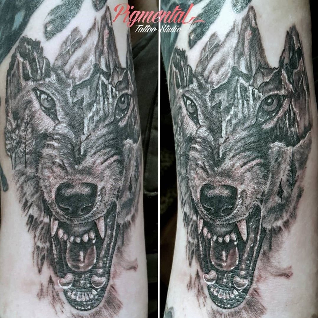 Tattoo by Regino  Wolf Tattoo  tattoobyregino wolftattoo wolves  wolf naturetattoo tattoos tattoo tattoosformen tattooinspiration  tattooideas tattooillustration realistictattoo tatuagem tatuajes  tatts backtattoo weekend 
