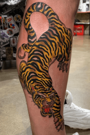 Tiger on a leg! Done in one session! #tattoo #tiger #legtattoo #traditionaltattooing