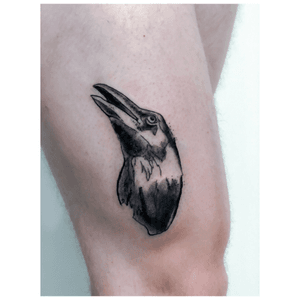 #raven #bird #birdshead #handdrawn #figurative #oneoftattoo #ink #inkbrush #penandink #tattooflash #drawing #sketch #dots #lines #black #darkart #tattoo #tattoos #illustration #illustrator #いれずみ #刺青 #さしえ #挿絵 #tatouage #jùnn #junn #junntattoo #atelierjunn #tattooer #tattooamsterdam #amsterdam