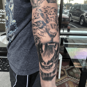 Jaguar tattoo in black and grey 