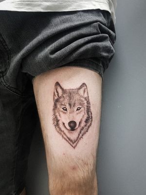 Wolf