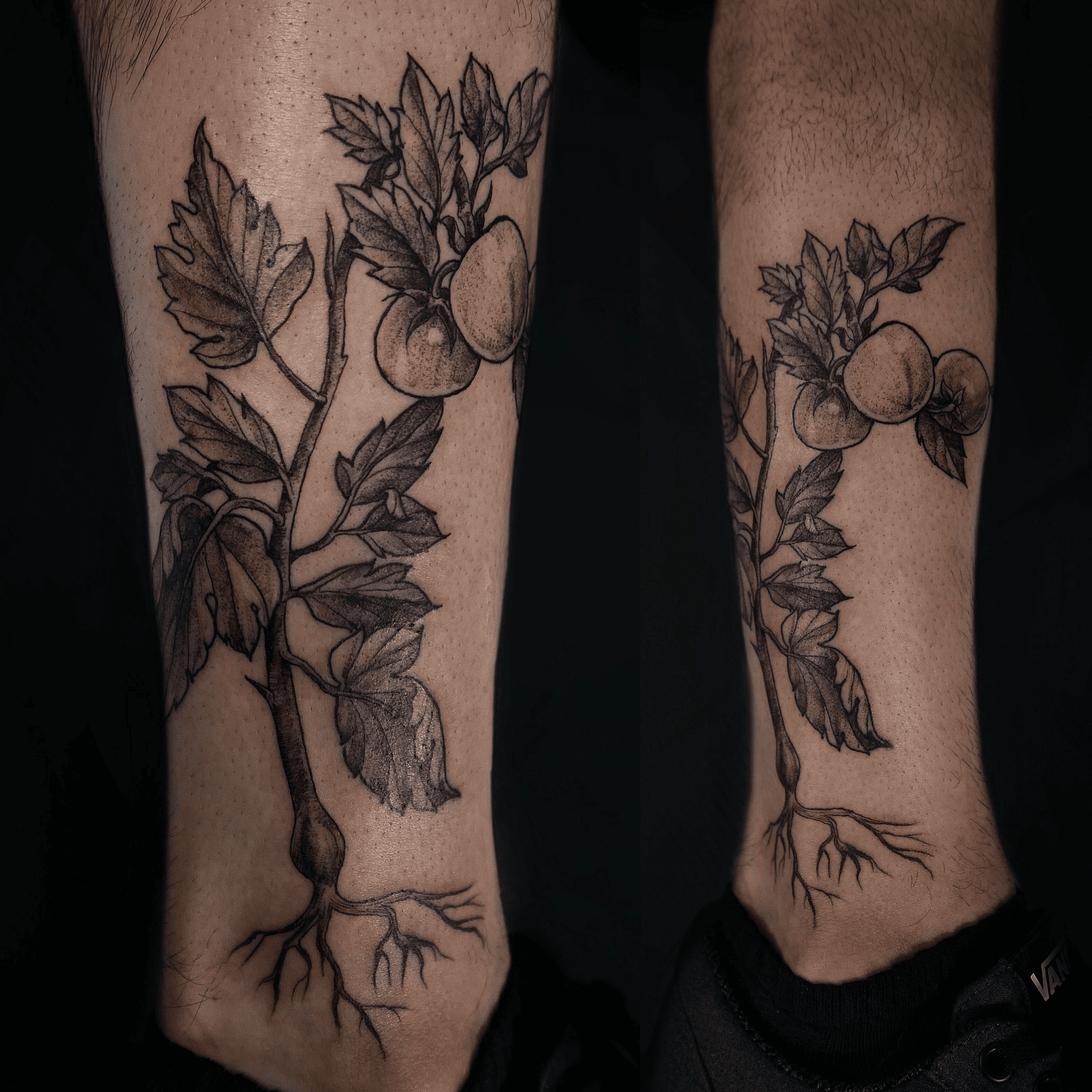 Tattoo uploaded by Valentina Andaya  Tomato vine nyc newyork manhattan  linework tomatovine tomato legtattoo blackwork  Tattoodo