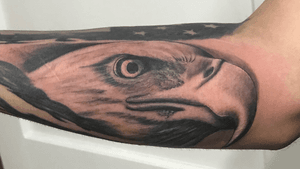 Eagle head - black and gray realism on inner forearm