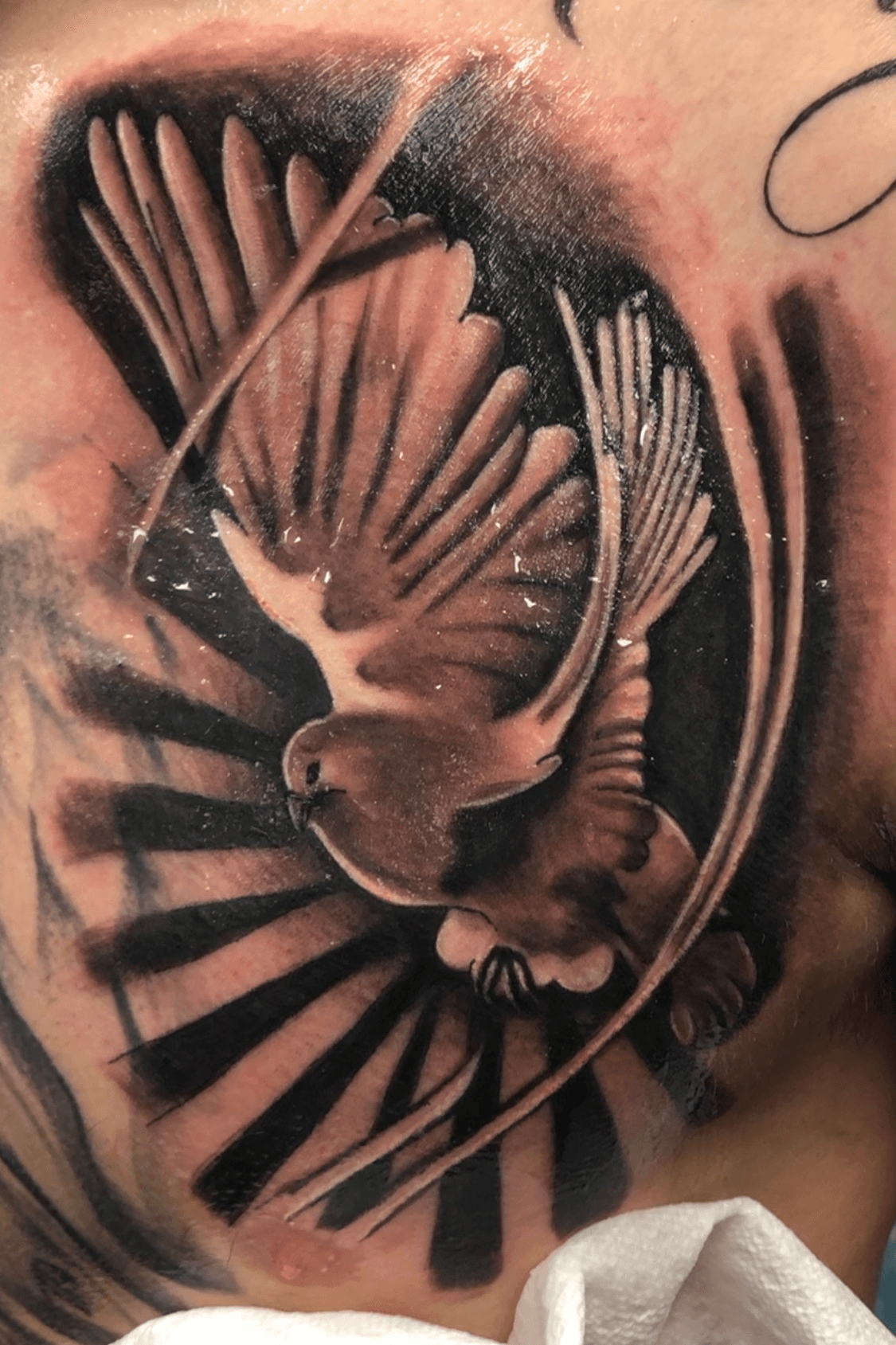 Savage Ink Tattoo Studio  Opera