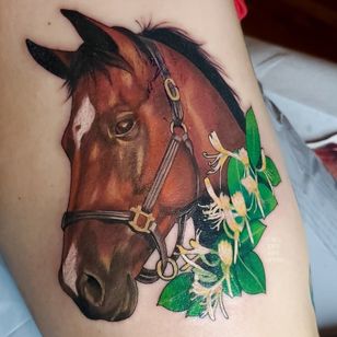 Color realism horse