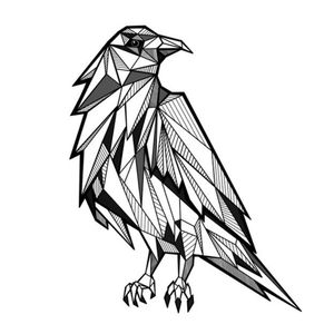 Geometric Raven