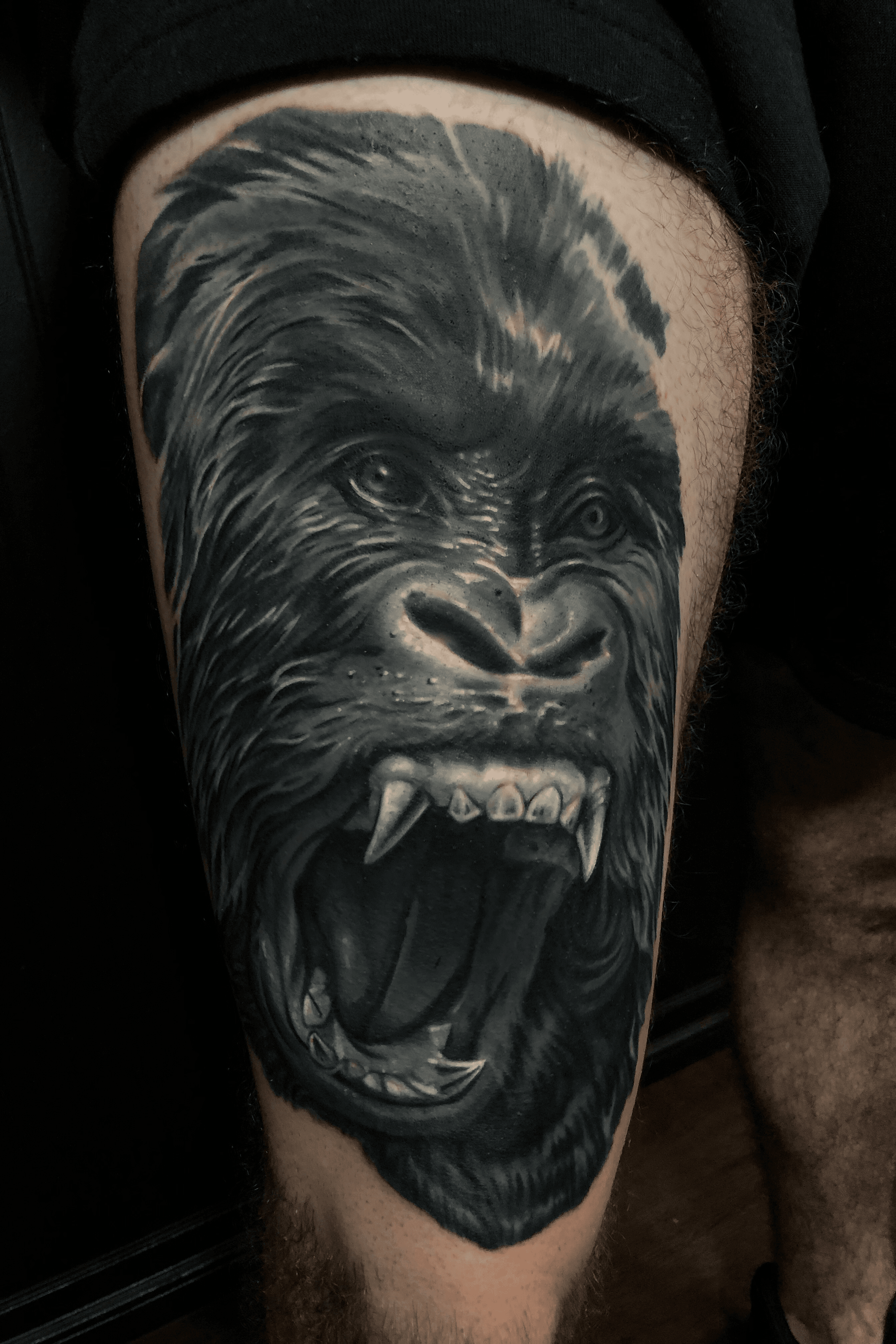 Tattoo uploaded by Austin Rinaldi • Gorilla cover up tattoo, using opaque  greys. Can't wait to add on! • Tattoodo