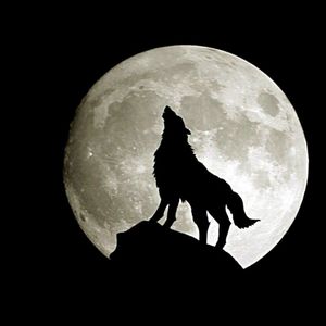 Wolf moon 