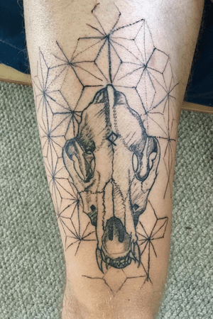 Wolf skull with geometric sketch style. First tattoo on the skin and I had to use my own leg lol