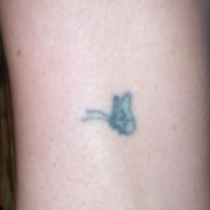 Tiny butterfly my ankle