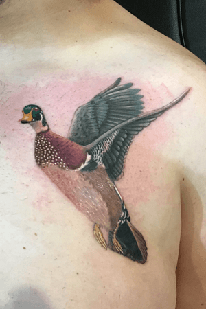 Color realistic Wood Duck for a client. Message me on here for quotes or stop in at Nocturnal Tattoo 6474 w 20th Ave Lakewood Colorado 