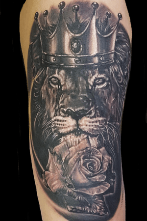 Realistic black and grey lion and rose 