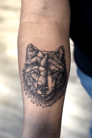Geo illustrative wolf 