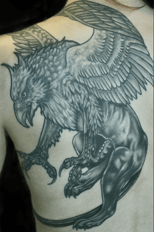 Black and grey gryphon 