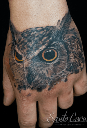 Realistic colour owl