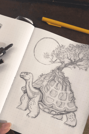 Little turtle sketch I did. Unfinished. 