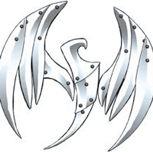 Stormhawks Logo