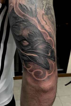 Freehand crow tattoo, fresh in the triceps