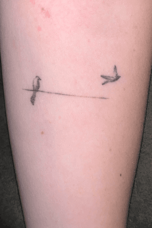 Done by @brookelyn_Kelly located at The Alter in Burlington VT Two birds on a wire. Represents my favorite lyrics from one of my favorite Vocal artists. Fine lined 